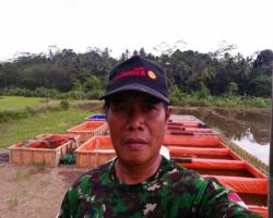 Budidaya Lele Sangkuriang Sekdes Baler