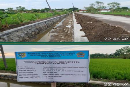 NAMA KETUA TPK DESA GROGOL DIDUGA HANY