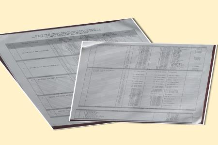 LELANG SAWAH BKM DIDUGA KISRUH DI DESA