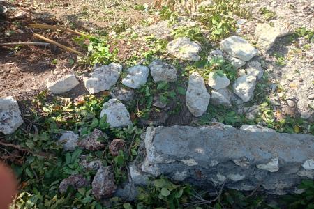 LSM Alam Semesta DPW Jatim Angkat Bica