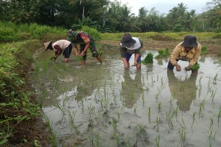 Babinsa Sumbersih Dampingi Poktan Tuna